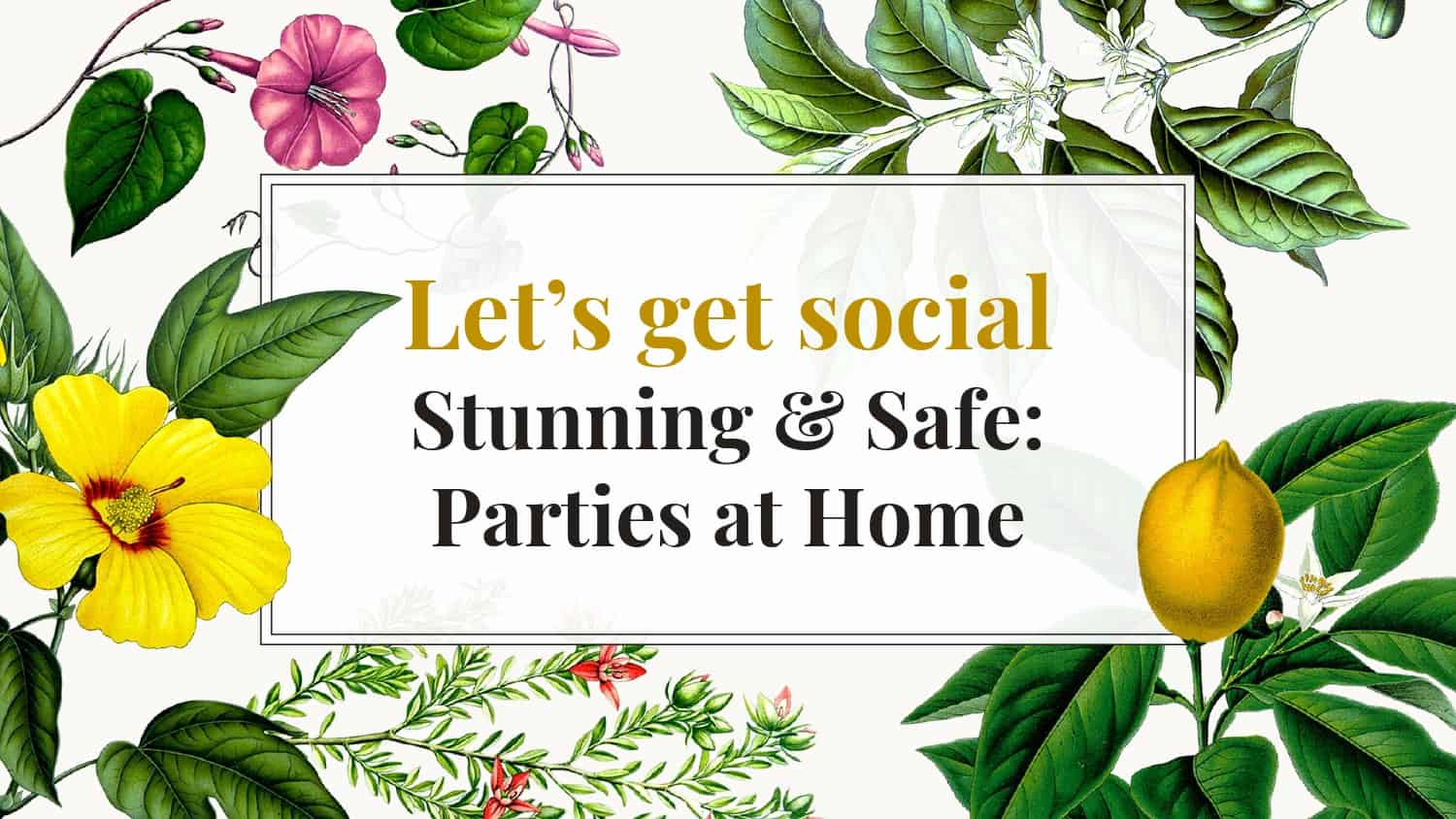 Covid Events Bristol - Parties at Home